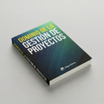 Dominio de la Gestión de Proyectos